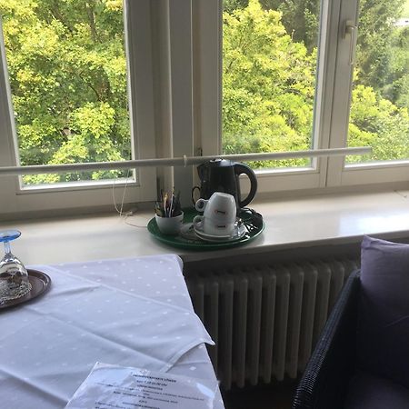 Gasthaus Zum Loewen - Restaurant Akropolis Hausach Extérieur photo